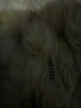 anonimgirl18old online show from 03-06-26, 05:08