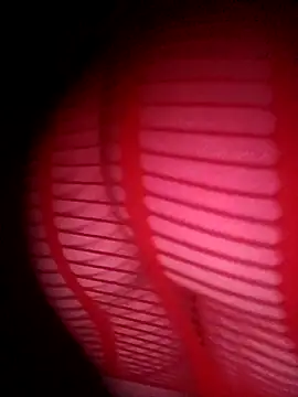 Hottiesophie online show from 03-24-26, 12:54