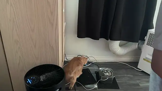 Snapshot of kSwisssxxx chatting on 11-06-25, 10:47 kSwisssxxx online show from 11-06-25, 10:47