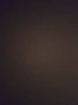 minnetird online show from 03-25-26, 04:01