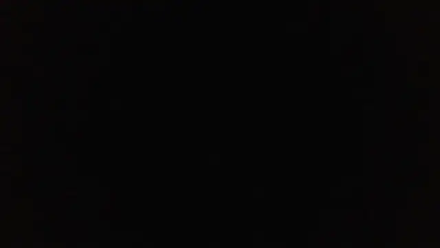 SharkedTaxis online show from 03-06-26, 02:56