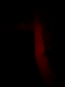 Snapshot of Raza7524 chatting on 11-15-25, 04:55 Raza7524 online show from 11-15-25, 04:55