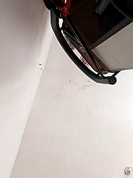 Snapshot of leon8013A chatting on 11-14-25, 06:00 leon8013A online show from 11-14-25, 06:00