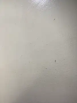 Issa Santana online show from 02-21-26, 07:16