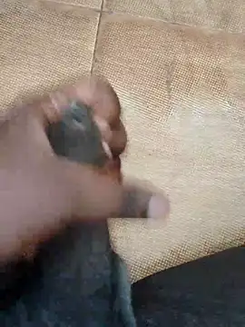 Saikishore00000 online show from 09-15-25, 08:26