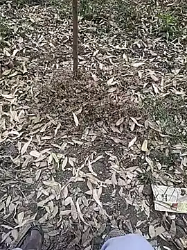 Telugu person12 online show from 01-10-26, 07:36