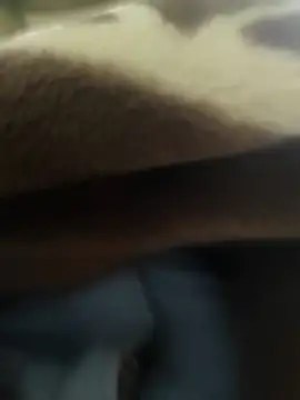 Telugu person12 online show from 12-15-25, 12:00