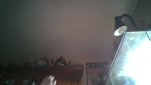 zipman92 online show from 01-05-26, 08:34