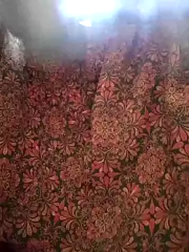 aunty sumy online show from 02-04-26, 04:07