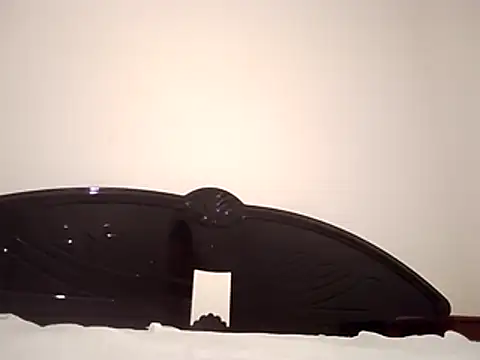 straightozgoesdwn online show from 02-08-26, 08:17