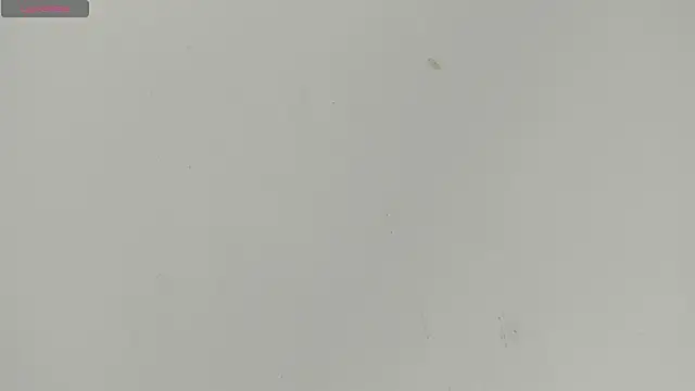 Sophia Ebony online show from 06-18-26, 12:10