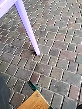 Odecca11 online show from 11-23-25, 08:24