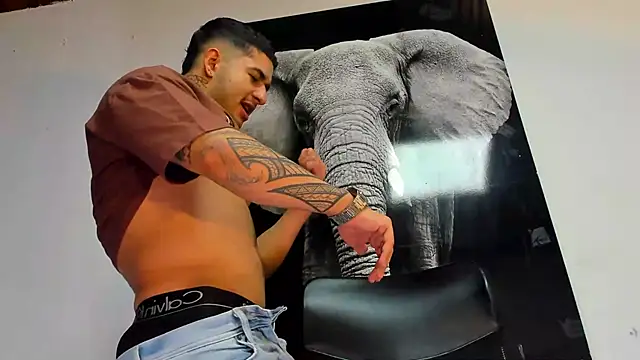 king falconer online show from 10-29-25, 02:54