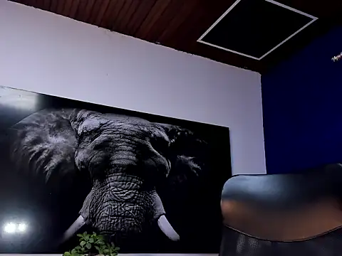 king falconer online show from 01-15-26, 02:15