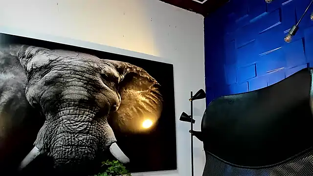 king falconer online show from 11-29-25, 11:16