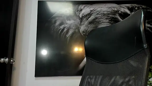 king falconer online show from 12-05-25, 02:10