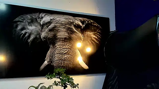 king falconer online show from 11-27-25, 12:55