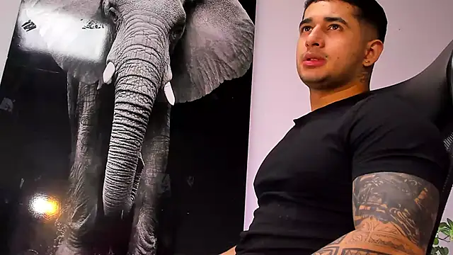 king falconer online show from 10-28-25, 03:18