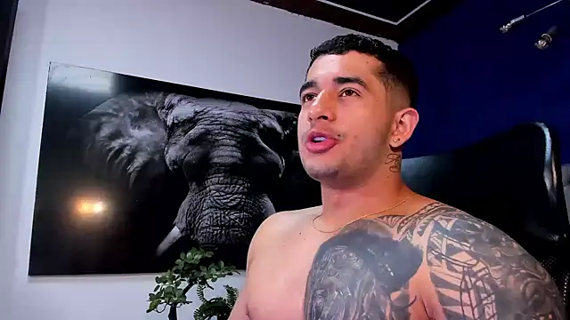 king falconer online show from 01-11-26, 03:46