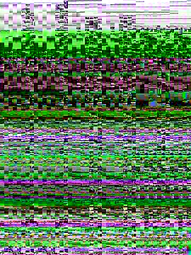 Manu0586 online show from 09-14-25, 01:33