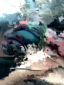 Snapshot of geraldoo007 chatting on 10-28-25, 03:44 geraldoo007 online show from 10-28-25, 03:44