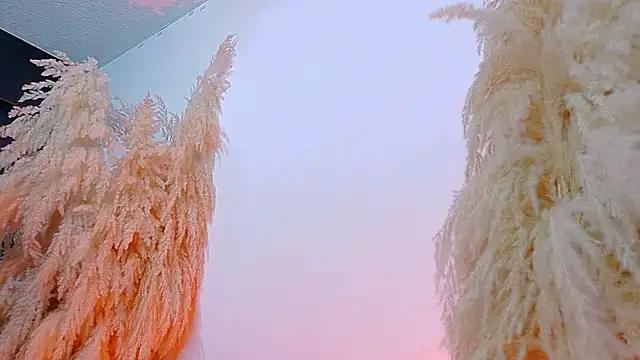 JulietaDavis online show from 02-19-26, 08:11