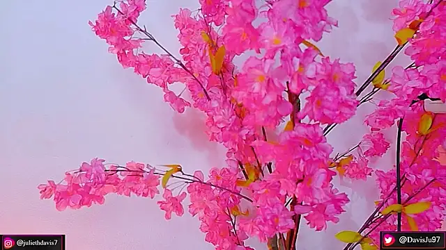 Snapshot of JulietaDavis chatting on 05-14-26, 02:08 JulietaDavis online show from 05-14-26, 02:08