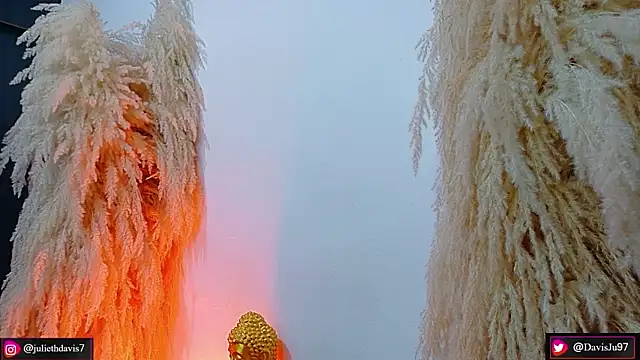 JulietaDavis online show from 04-18-26, 09:33