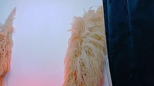 JulietaDavis online show from 02-22-26, 09:33