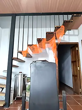 Hiroshi Shen online show from 11-05-25, 11:24