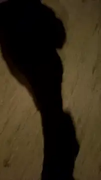 jvdzj-0  online show from 10-12-25, 12:56