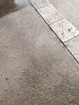 jvdzj-0  online show from 10-19-25, 03:37