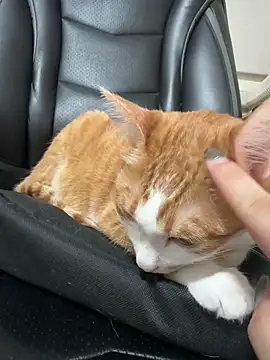 Snapshot of ariel_613 chatting on 10-19-25, 02:53 ariel 613 online show from 10-19-25, 02:53