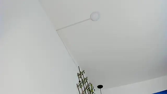 carolinacrus01 online show from 11-06-25, 04:00