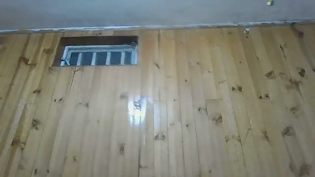 Roselingalvis13 online show from 10-13-25, 02:35