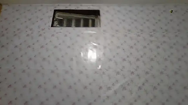 Roselingalvis13 online show from 02-03-26, 02:53