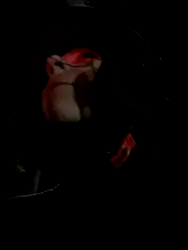 juliie star online show from 11-15-25, 12:47