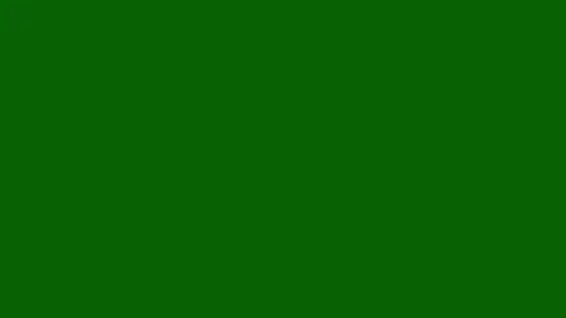 CattyANDnicky online show from 09-29-25, 12:44