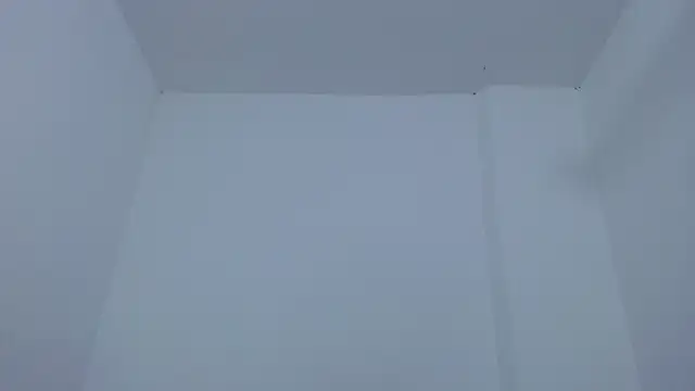 carolina zabala 19 online show from 12-17-25, 07:19