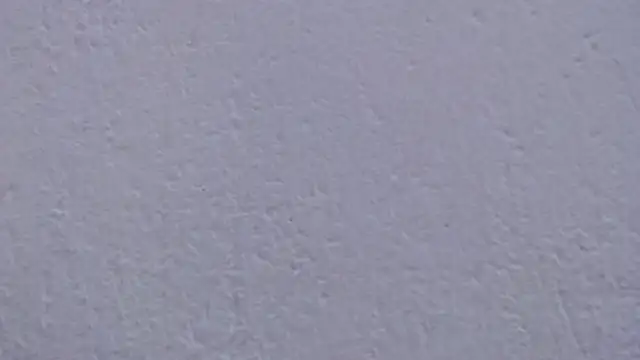 carolina zabala 19 online show from 04-04-26, 08:48