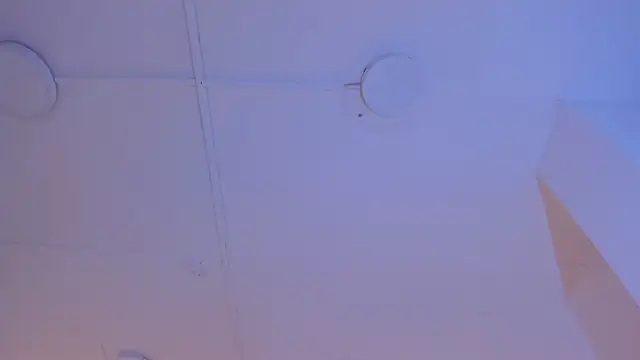 Snapshot of TokyoHaskel chatting on 05-15-26, 04:10 TokyoHaskel online show from 05-15-26, 04:10