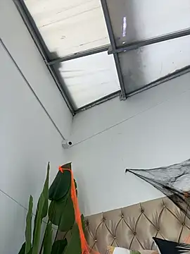 TweetiePieXXX online show from 10-31-25, 10:05