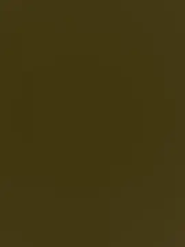 whitebullock online show from 03-19-26, 05:13