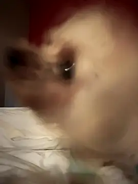 Snapshot of Ofcourseoneday chatting on 10-16-25, 07:00 Ofcourseoneday online show from 10-16-25, 07:00