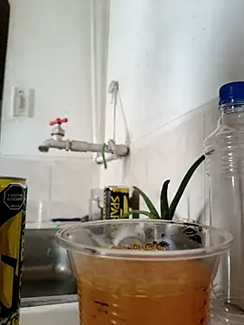 Exoticovergon online show from 11-06-25, 07:51