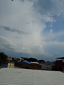 Natasanz online show from 02-11-26, 09:25