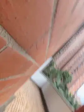 Dimitri Bass online show from 03-24-26, 06:52