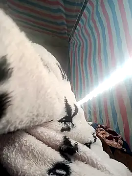 jienrrr online show from 11-26-25, 01:49