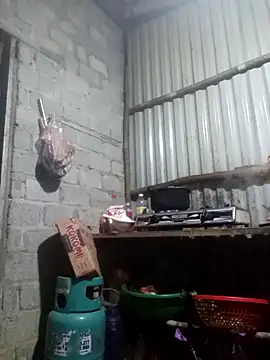 jienrrr online show from 11-11-25, 12:00