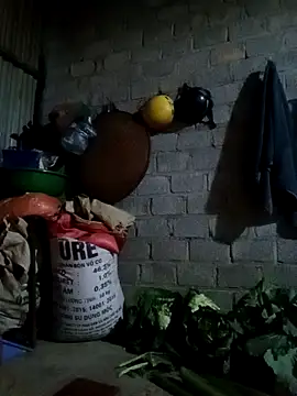 jienrrr online show from 02-24-26, 11:33